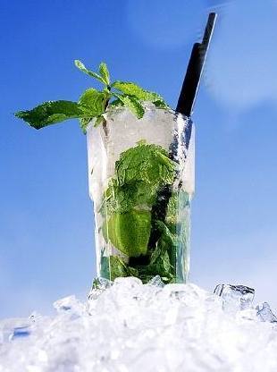 Mojito